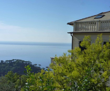 2_Camogli