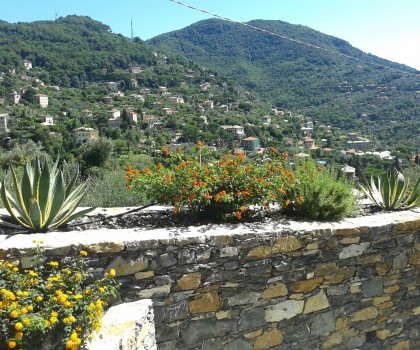 8_Camogli